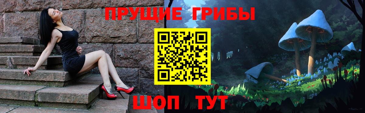 Псилоцибиновые грибы Psilocybe  Вход с VPN  Горно-Алтайск 